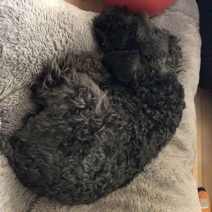 343c4e5d 8771 4efe bd4c 447f467dee24 1588217625519