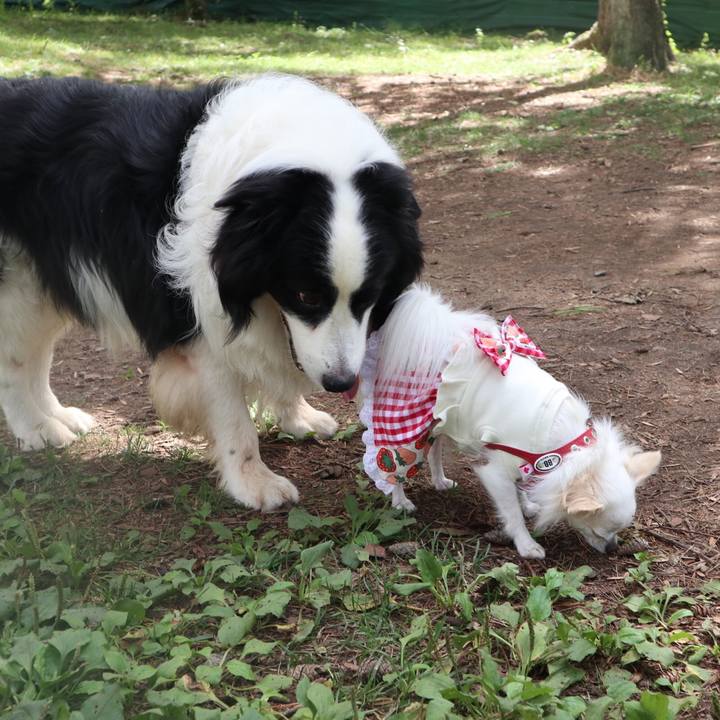 343c6701 65ed 423b 8a9b 9d94516ffefe 1537413788593