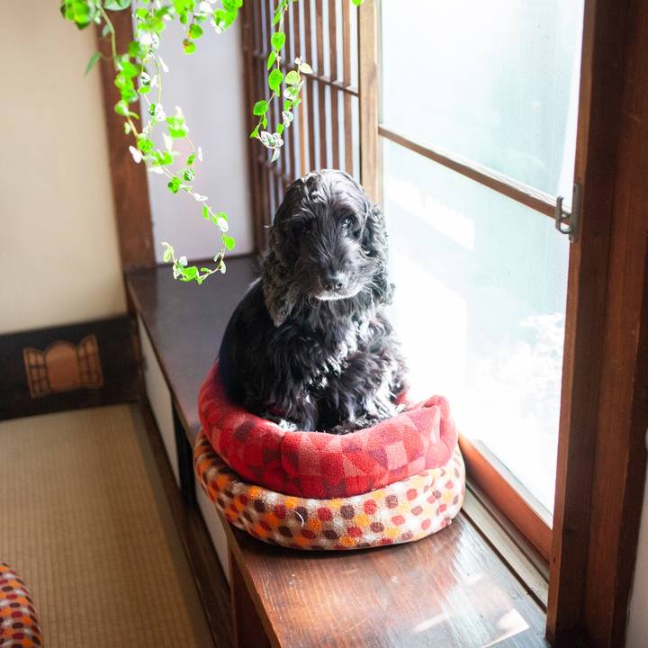 343c7bf9 12a9 4b6f 9027 41c0c030ac11 1583904429531