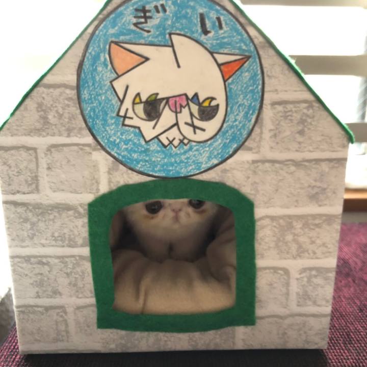 343c9b32 9f79 4c90 bc68 bdf4e63f4d49 1545539862441