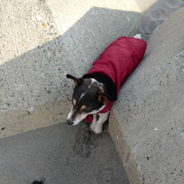 343cd69c ee8f 42f6 b8d1 9489644a6166 1646267375823