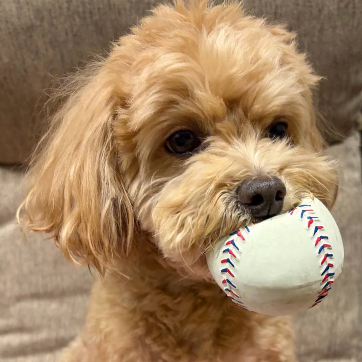 343cdb92 a16c 491c a5cb 7dc49e553c0f 1769960437671