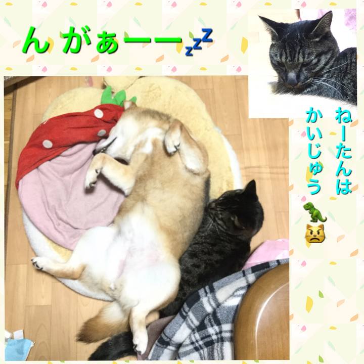 343d0f1f 0436 4556 91da 66d2ff9d8600 1586609784565