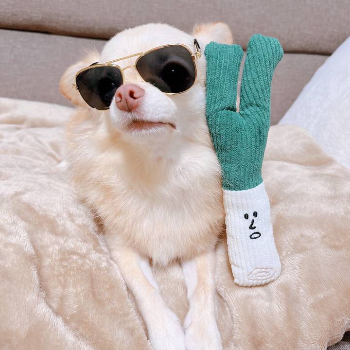 343dc460 698a 43fe 9978 3b467c1bdf30 1663578442834