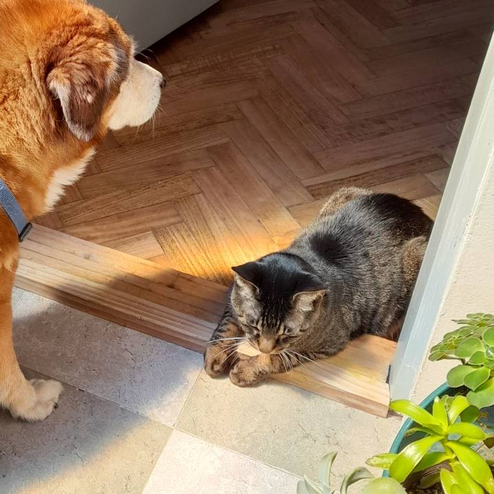 343e2e49 005a 40bf b9b7 20555003d20e 1759975331868