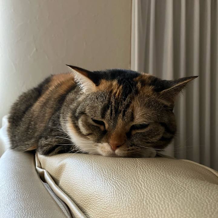 343e4841 fc76 4af3 94ec 1e9a5ebd0189 1769733111795