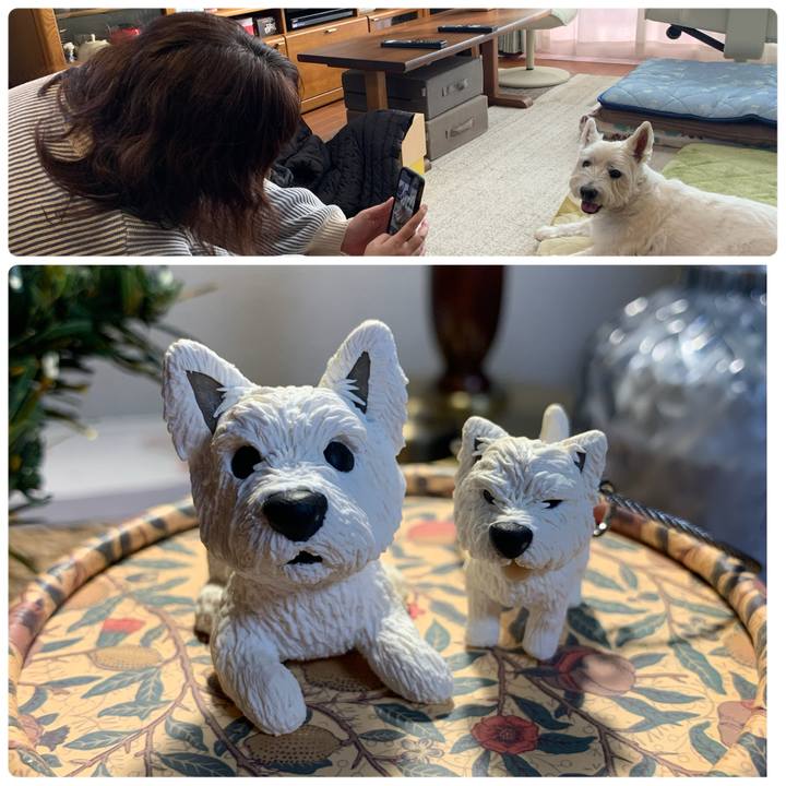 343e70c1 62b4 4007 a2f7 0046a2d8acce 1702553733489