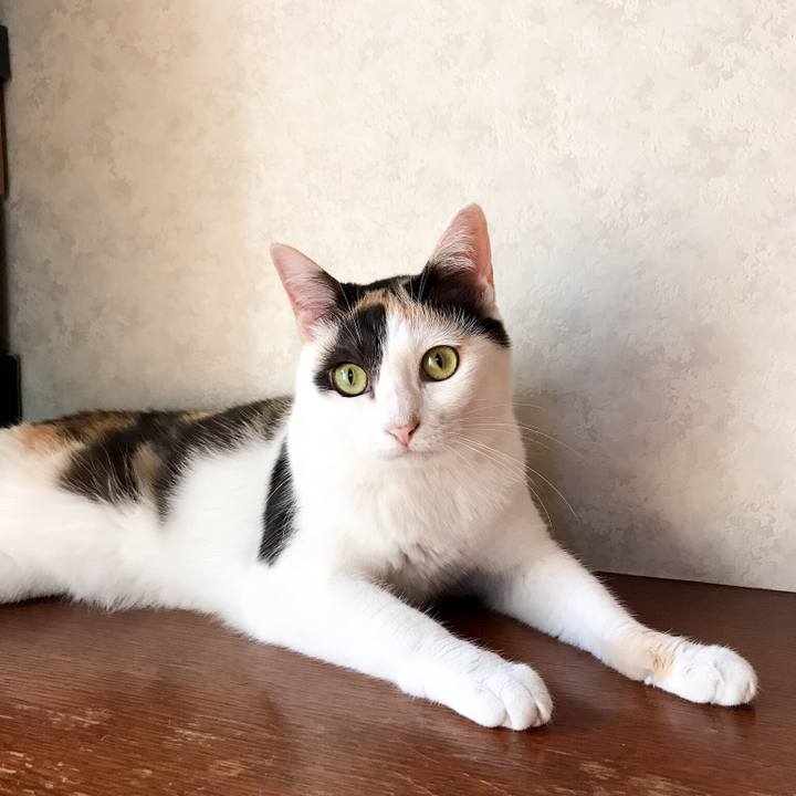 343e7521 2a3a 4b8d ab0d c9bcc5996b0b 1533256735195