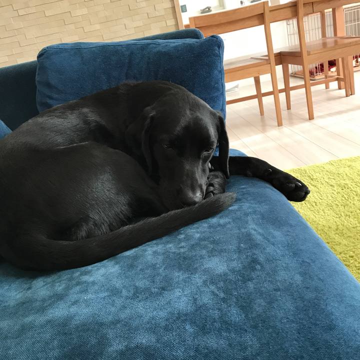 343e7e25 db8a 4aca 8bcb 9e9b873dd6ac 1510365597612