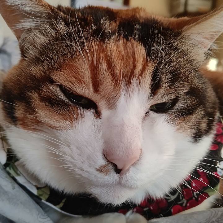 343e9bf6 4141 41b9 bb66 9b26608f538e 1647650720849