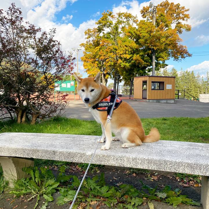 343ee982 b1b8 4c12 9452 ad8204098e79 1603072412472