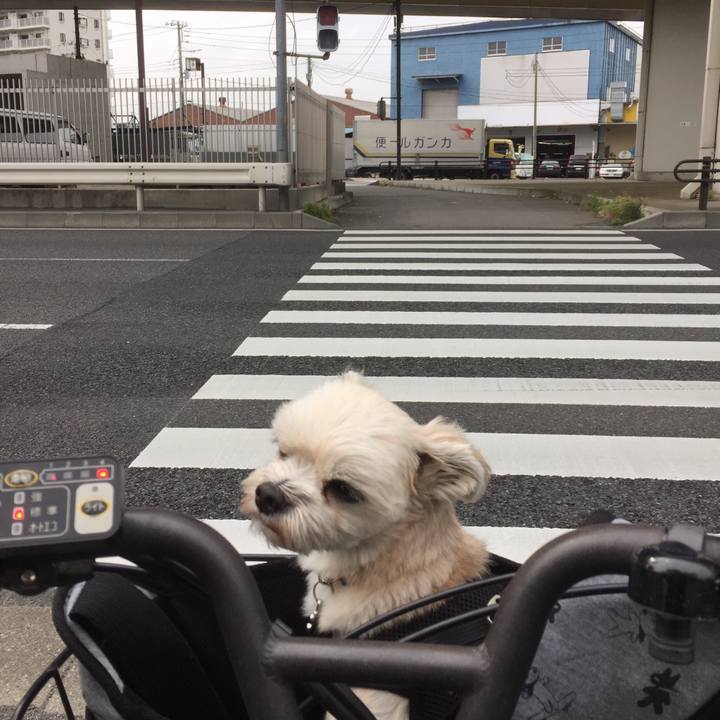 343eea94 4979 48b0 92d1 9b9a1a14981d 1539585491314