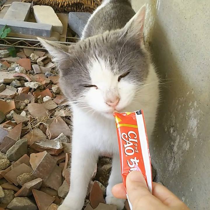 343f14d8 d12f 470d 8fd3 753ad90eebd6 1556770190921