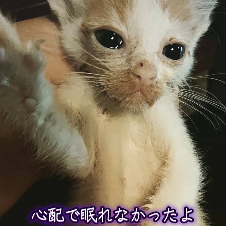 343f1724 5b8a 4962 8c3e 548c73ce68fa 1769443981871