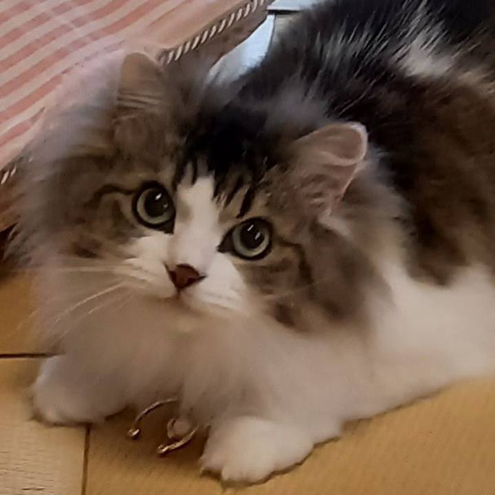 343f3218 d73b 477d 858f e692fcf7d13c 1653139135915