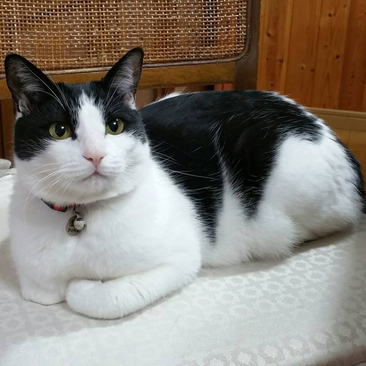 343fa368 0512 4247 bcd2 9a16d7fbdaa0 1518649629265