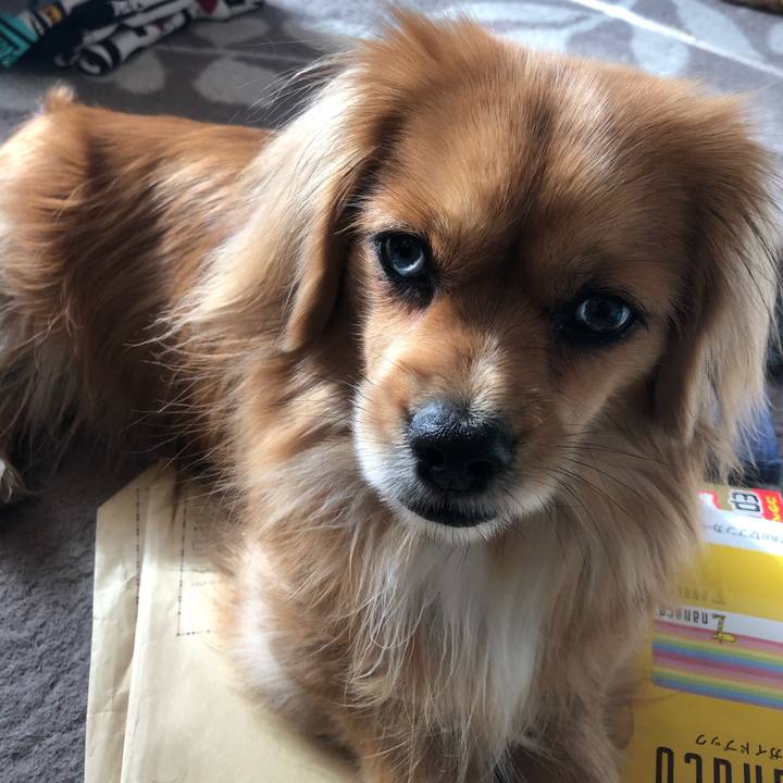 343fa425 9aaf 4d0c a252 b83551c91140 1546648607071