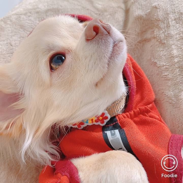 343fae1e 2a25 4cbc b45e 58f0c63c61b8 1605950609197