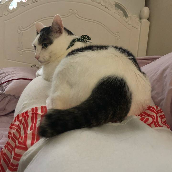 343fea97 9010 42c6 bb9e b6965262b9a5 1533901569298