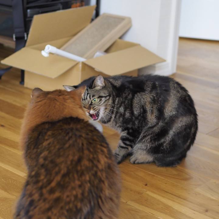 34402873 3619 49c1 85d7 fa4f95e3000f 1672489672310