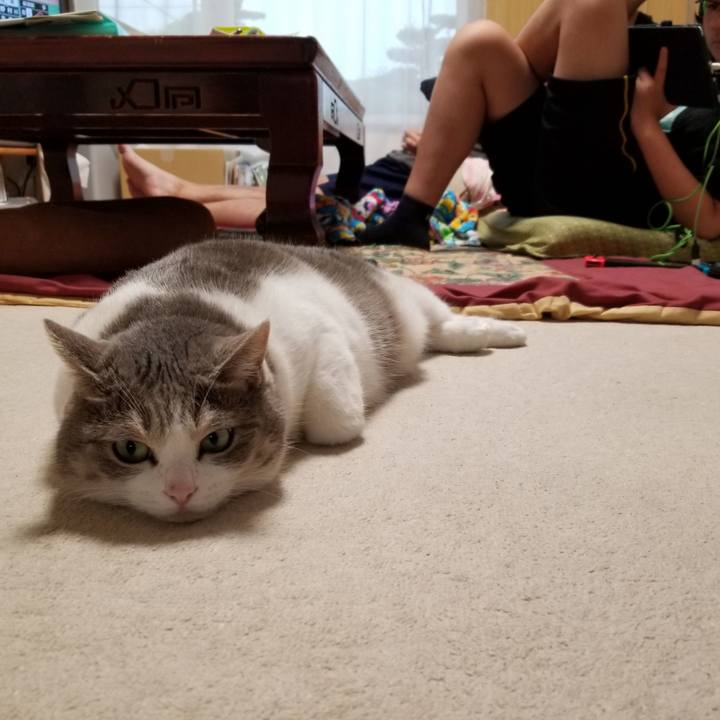 34402e37 eea6 4923 9050 432617c58d6f 1631519818851