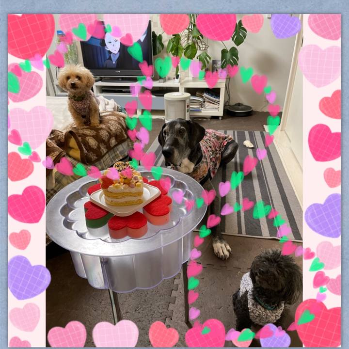 34404d31 3adb 4e7b b4c5 da23c991953f 1644842906761