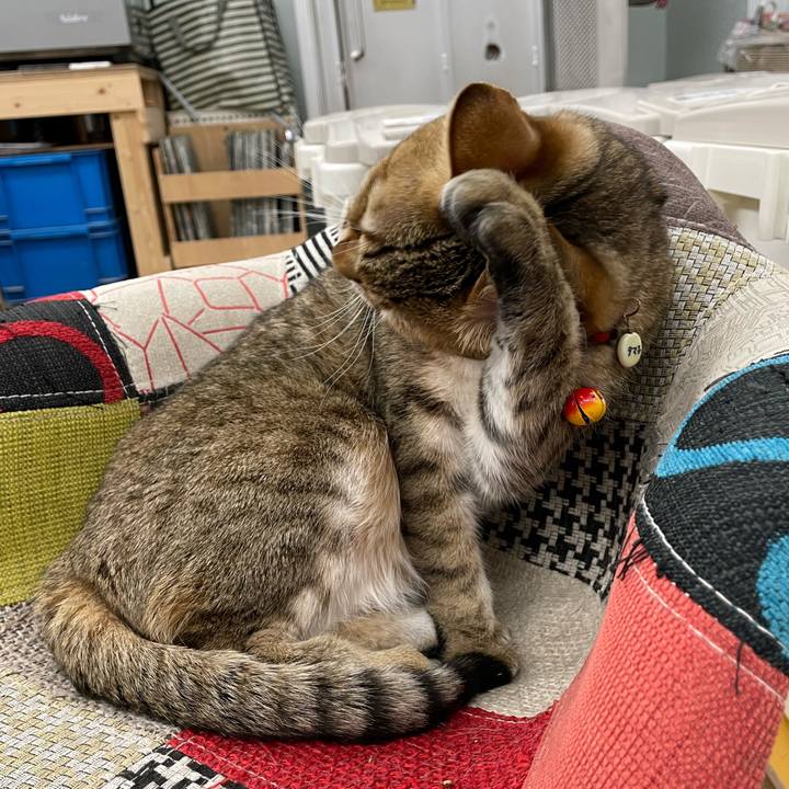 344055d8 6a60 4bcd b9a4 44f199df252f 1674185638533