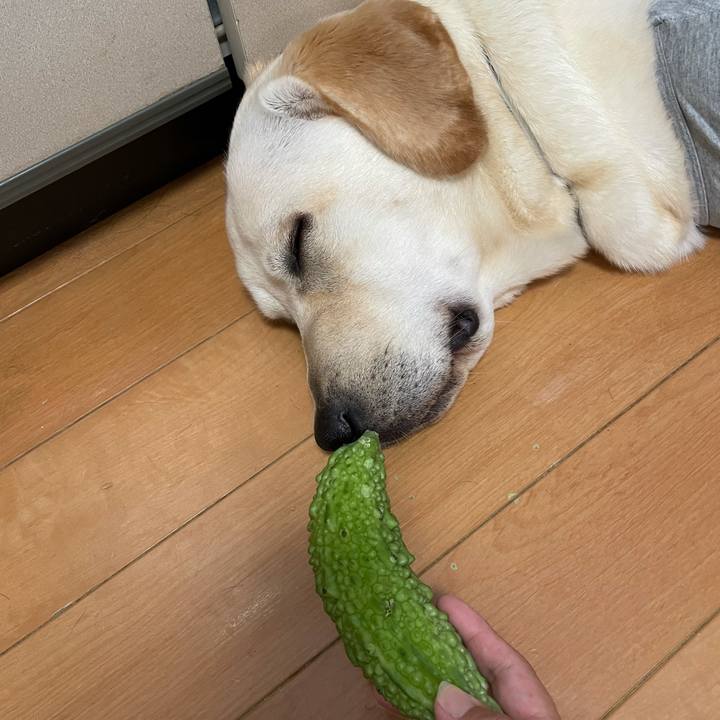 344056d0 7d42 40fb 9716 67ddecb682a9 1631345078045