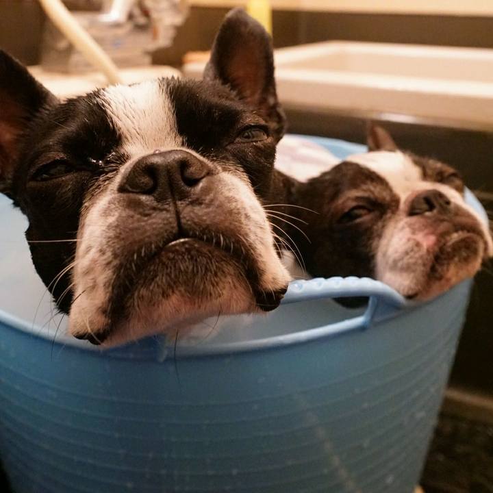 344069f7 cfe2 426a b393 1b06c5f26373 1511082372160