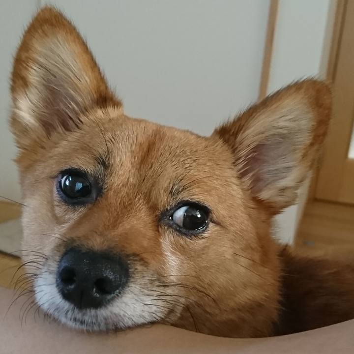 3440abb2 f97a 4bd6 ab2f c68cdb25da95 1535179799760