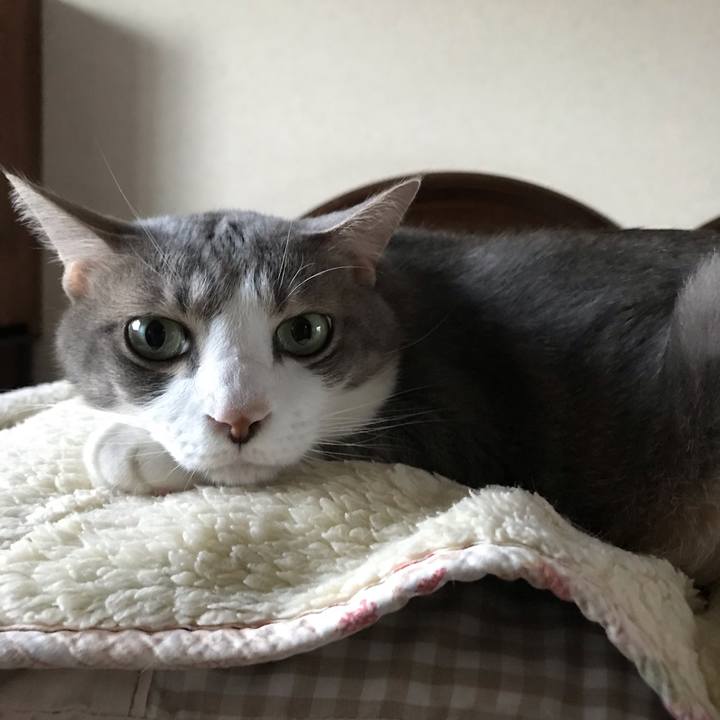 3440d734 6546 4727 ada1 bebd90648131 1541511757720