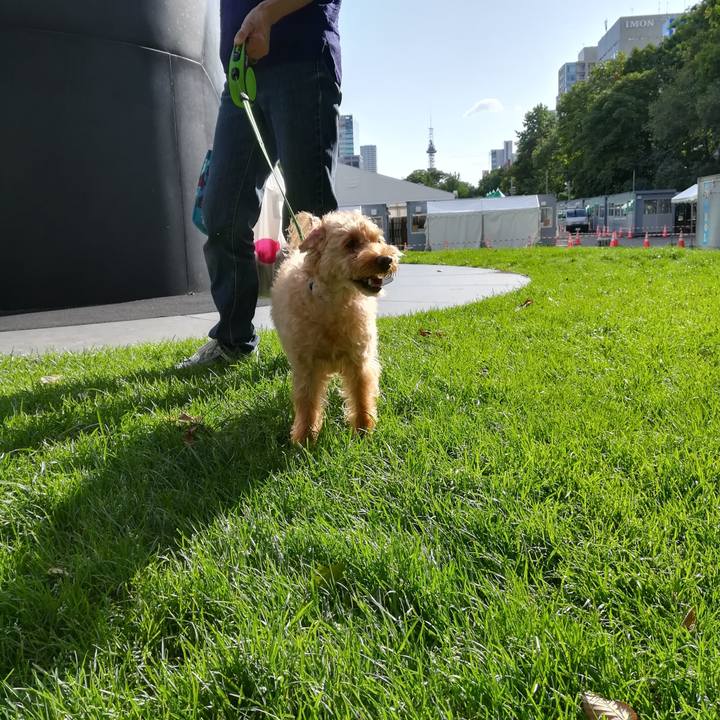 34410f30 aa4b 4c78 8689 8f50bb2bf717 1567298424313