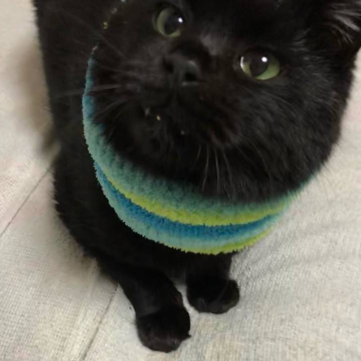 34418781 7086 409d b0d8 28ce8f09b5c4 1609080766761