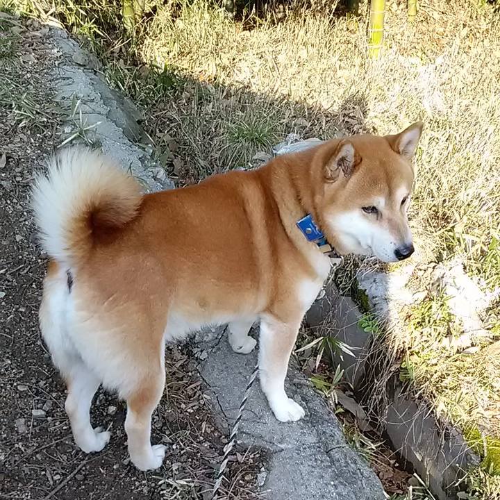 344217c9 2dec 4cf4 b1f9 55abe1d3d9f3 1582764620433