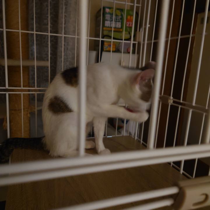 34426d8e 3b26 437b a9a7 037121c074b7 1689035394213