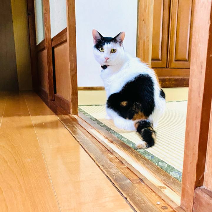 34427169 6725 42d5 9243 54cecadc74e2 1692050632715