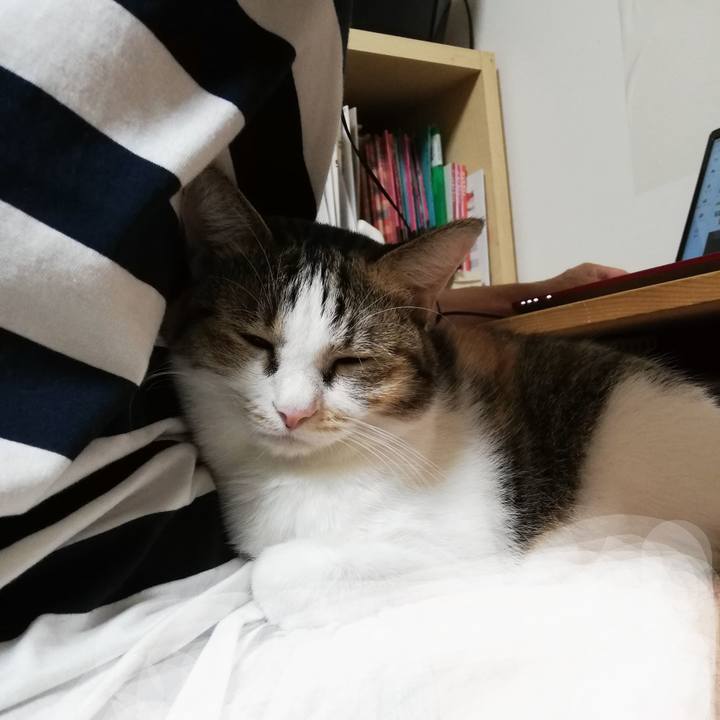 34427494 931a 49b5 b8ff e6a64eb1e373 1601072472681