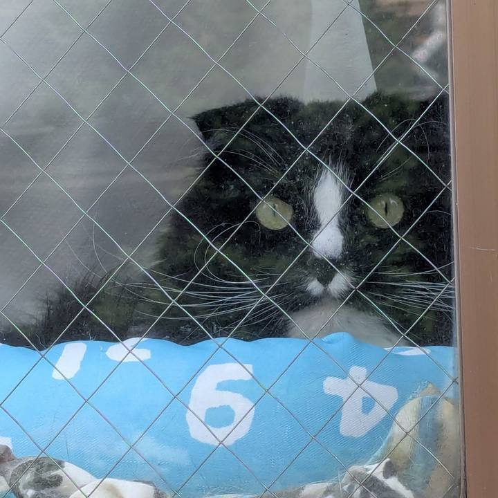 34429e54 6987 4dc3 994c 82dbadd2b711 1746409067788