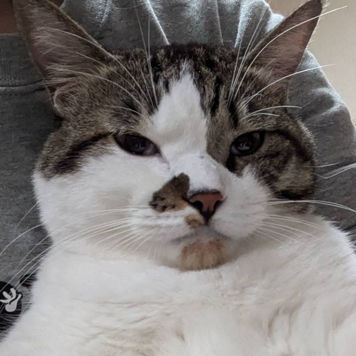 3442b3e9 a5c8 4855 9713 6dda16574c2e 1728747227886