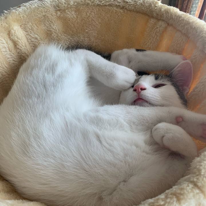 3442bee4 c09b 4c82 b8dc 3e01f16c3059 1612047275325