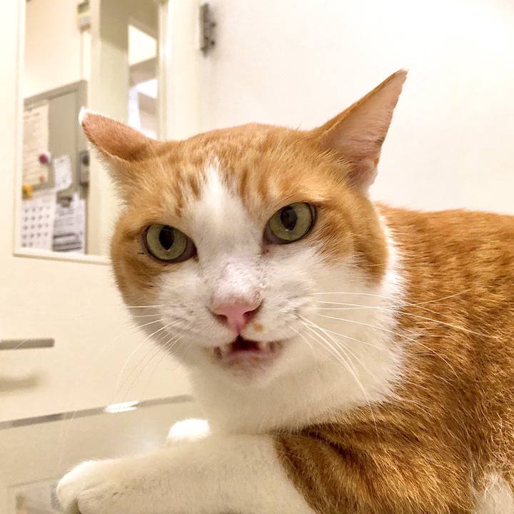 3442ceab 02a6 4afd 9a97 e766d78305c4 1572242235681