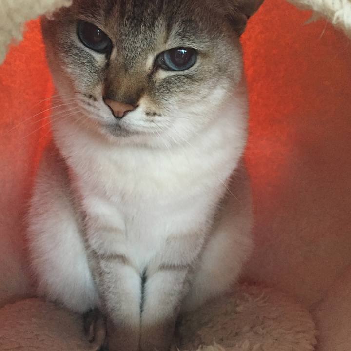 3442f671 faff 4ab8 b964 e362d83a0855 1515624529539