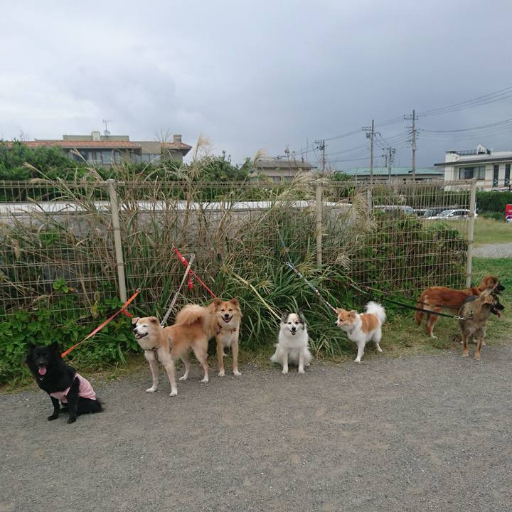 34430f13 6285 4b4f af66 1e0fe3c67287 1570358106714