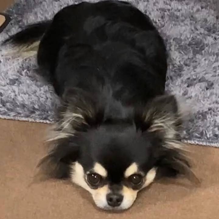 34432595 5a66 43ef 8ad1 5adbea6240bc 1621892796915