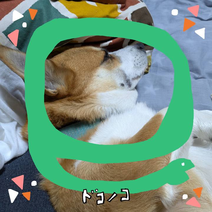 344343ed e94c 4ac5 8f91 b89b87ee90b8 1741595592170