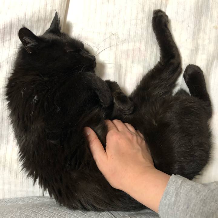 34437e34 b35e 4234 9726 1f894f8c428a 1583755040963