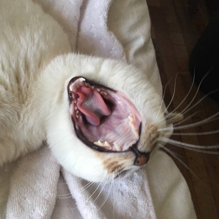 3443866f ef5e 4182 99c3 92751a786248 1523260446799