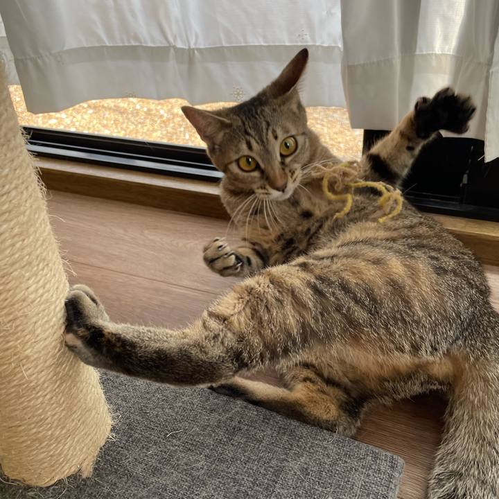 34438ae7 5b3a 4e67 99b1 075e9775977b 1653028497966