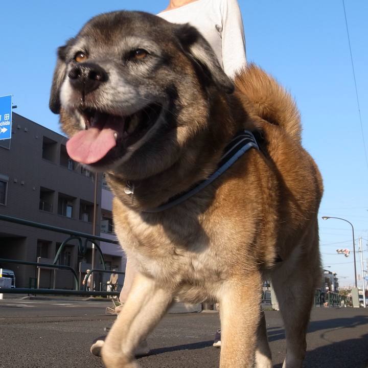 34438e7f dc8c 4c3e 9eae ece8ea0db96a 1606351637442