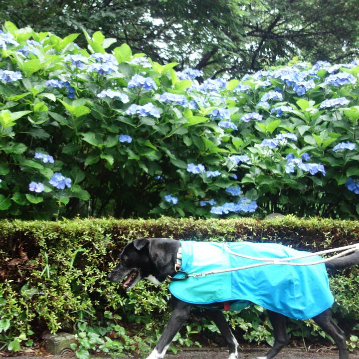 3443bd31 b5d4 4b61 9598 6d7a96493014 1686530275239